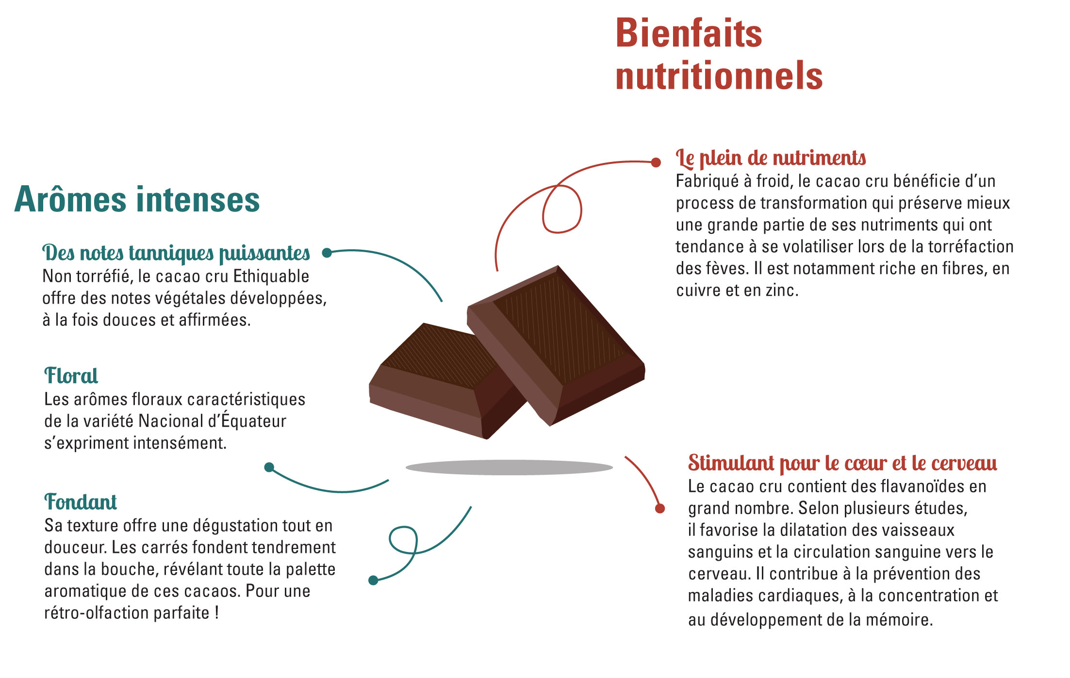 Les bienfaits du cacao cru Les bienfaits du cacao cru