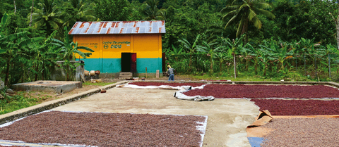 dossier de presse cacao ethiquableæ dossier de presse cacao ethiquableæ