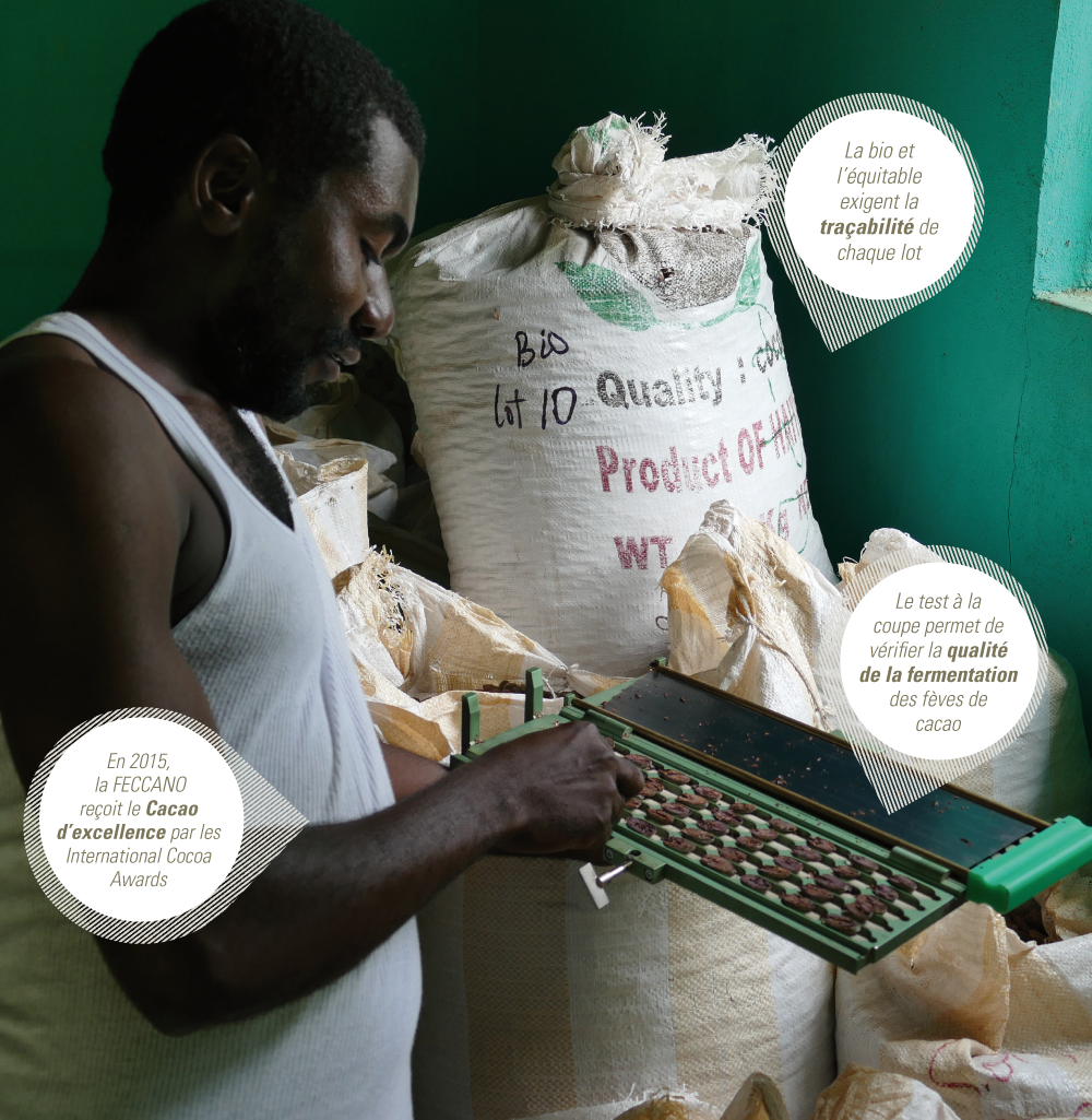 feccano impact commerce equitable haiti
