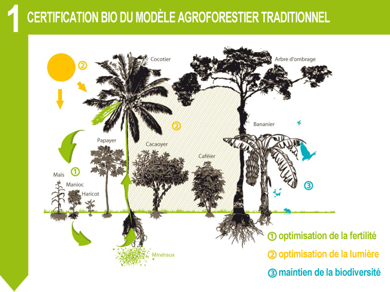 certification bio agroforestier